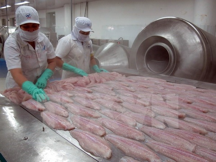 Vietnam opposes US anti-dumping tariffs on tra fish - 1