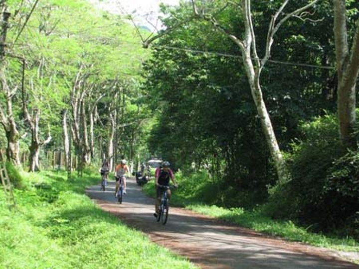 Cuc Phuong National Park offers escape from humdrum city life - 1