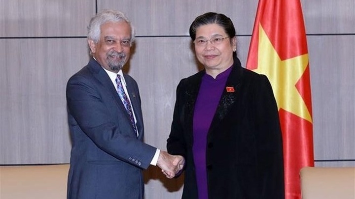 UN looks to back Vietnam’s sustainable socio-economic growth - 1