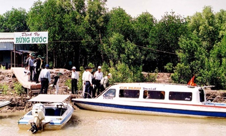 Ca Mau launches forest programme - 1