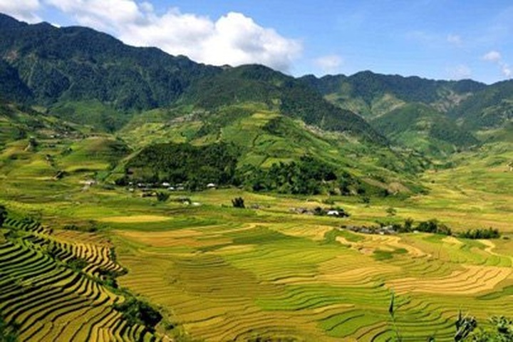 It’s tough to leave misty Sapa - 1 It’s tough to leave misty Sapa - 1