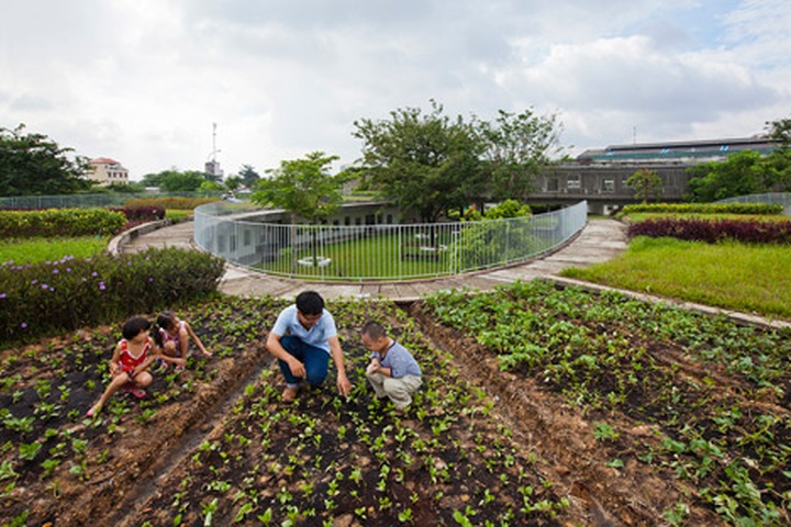 Green kindergarten wins major award for architect Vo Trong Nghia - 6