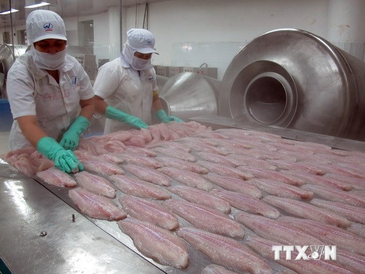 Vietnam tops frozen fish fillet exports to Brazil - 1