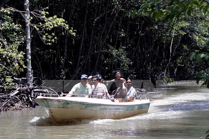 Ho Chi Minh City sees foreign arrival rise - 1