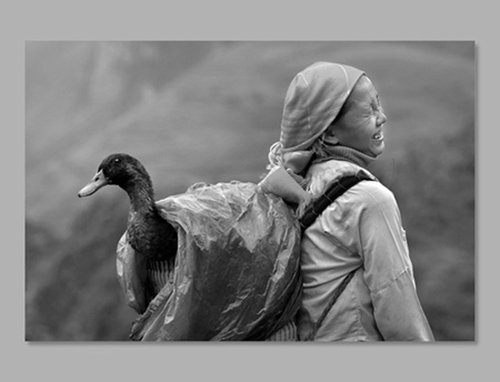 Vietnam wins FIAP silver award - 3