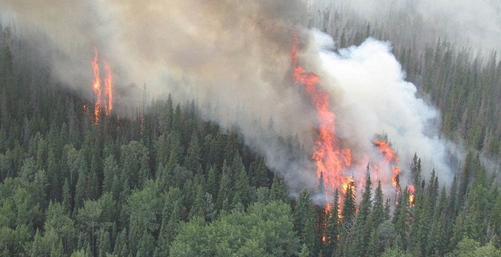 India forest fires kill 9 hikers, injure 18 others - 1