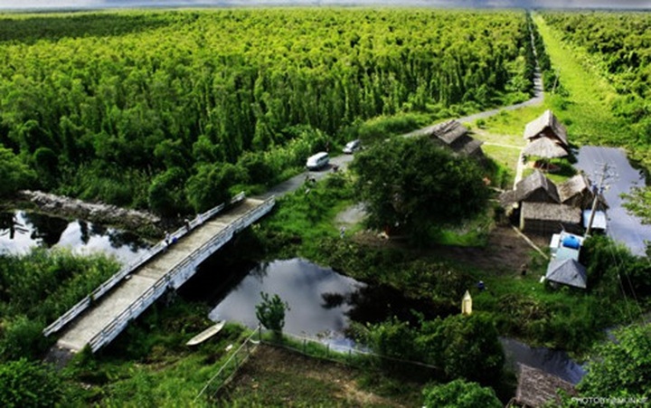 Eight forests suitable for nature enthusiasts in Vietnam - 8 Eight forests suitable for nature enthusiasts in Vietnam - 8