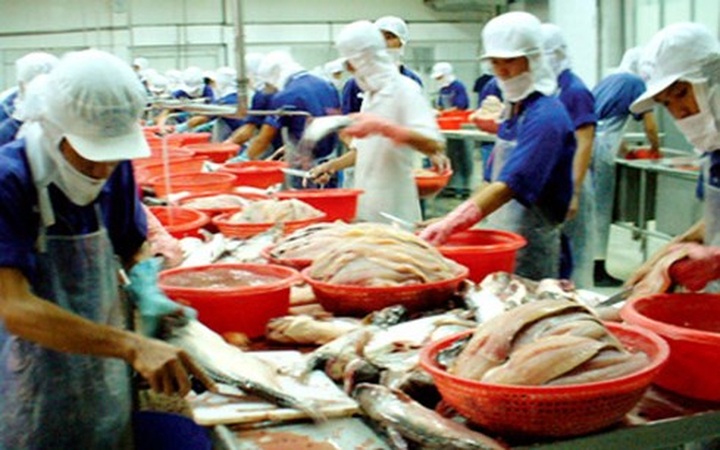 US delays anti-dumping tax review on Vietnam's tra exports - 1