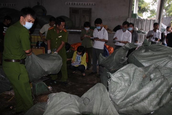 Shops in Khanh Hoa caught selling sea turtle shell - 4