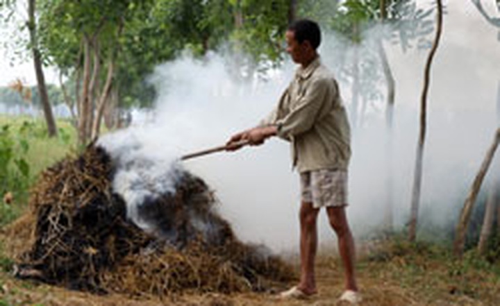 Stubble burning a threat to human health - 1