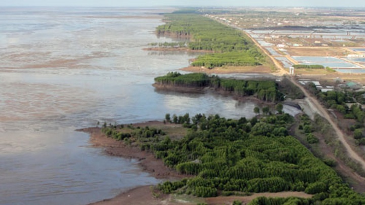 Germany, Australia assist Vietnam forest conservation - 1 Germany, Australia assist Vietnam forest conservation - 1