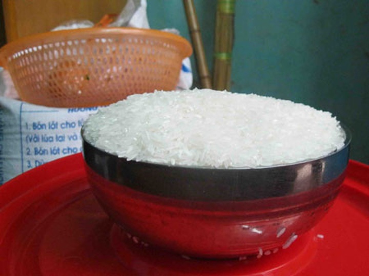 'Fake' rice found in Hanoi - 1 'Fake' rice found in Hanoi - 1