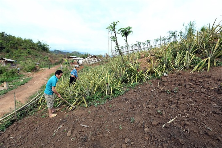 New forest law excludes disadvantaged groups - 1 New forest law excludes disadvantaged groups - 1