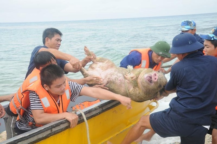 Tet preparations at Truong Sa Islands - 3 Tet preparations at Truong Sa Islands - 3