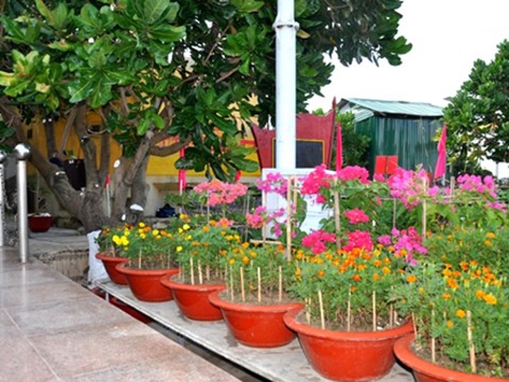 Vo Nguyen Giap Park inaugurated in Truong Sa - 1