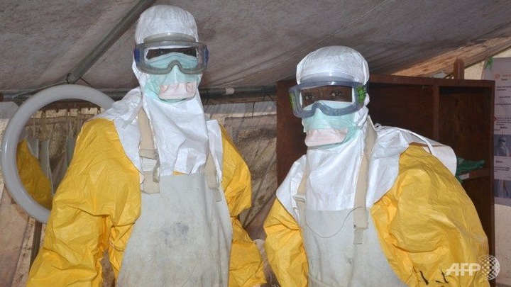 IMF policies criticised over Ebola outbreak - 1