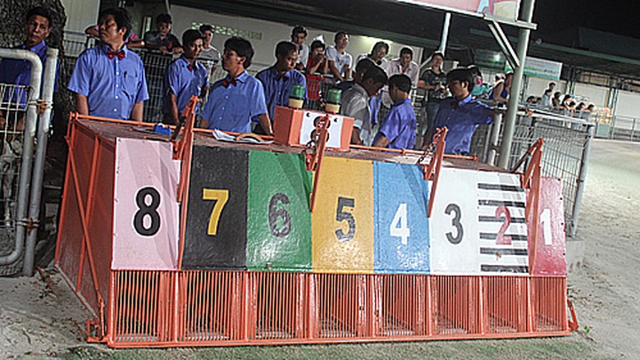 Impressive greyhound racing in Vung Tau - 5