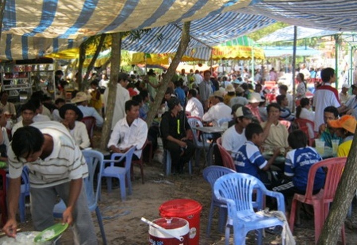 Khmer ox racing in the Mekong Delta - 6 Khmer ox racing in the Mekong Delta - 6