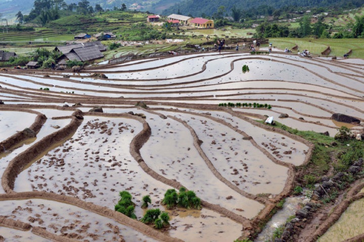Black Ha Nhi people in Lao Cai - 1