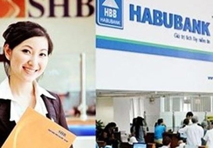 Bad year for large Vietnamese firms - 1