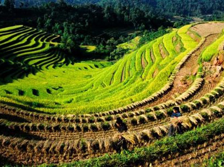 Discount tours fail to attract customers - 1