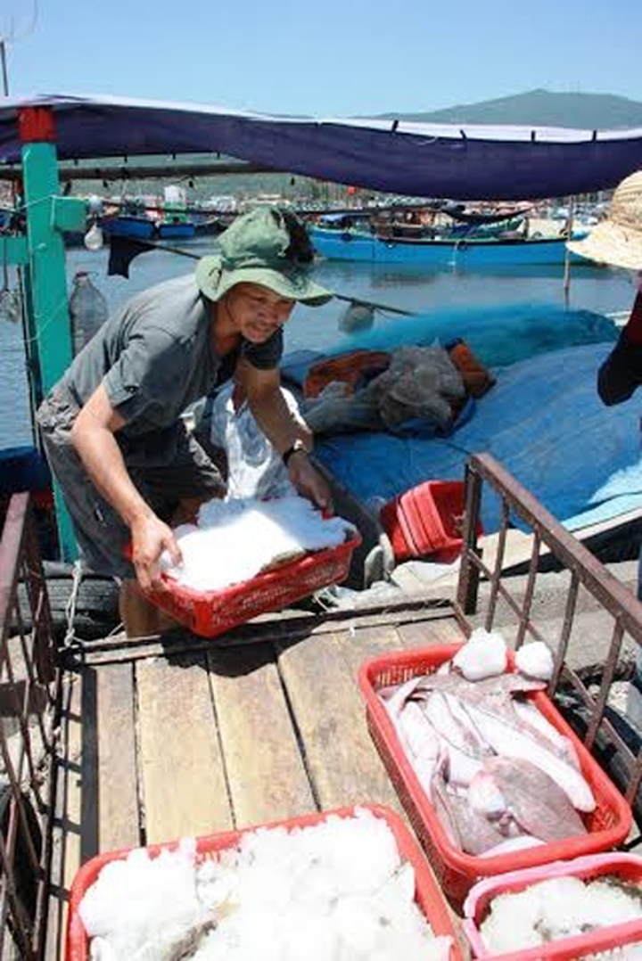 Difficulties in fishing industry reduce productivity - 1