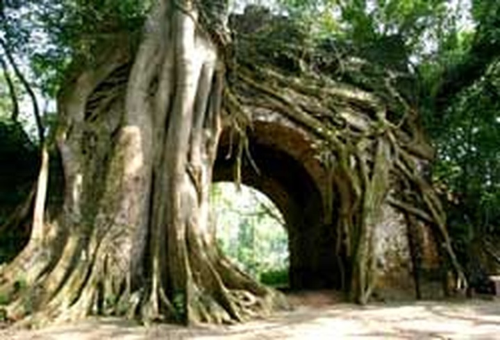 Thanh Hoa uncovers its past - 3