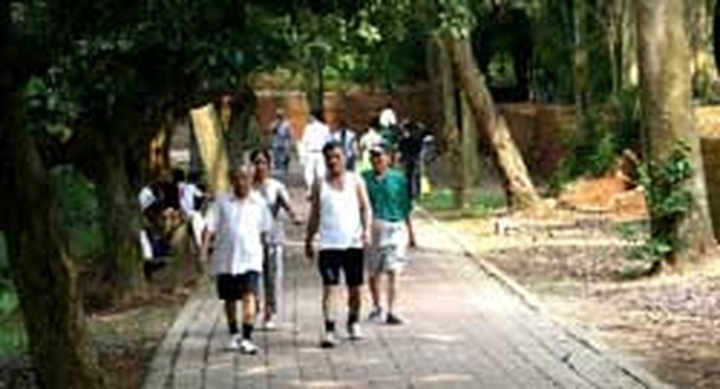 Thanh Hoa uncovers its past - 2