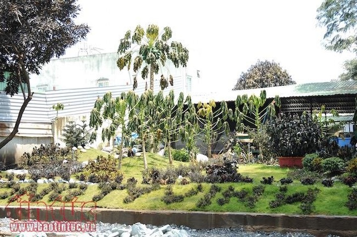 Thousands evacuated after ammonia leak - 1