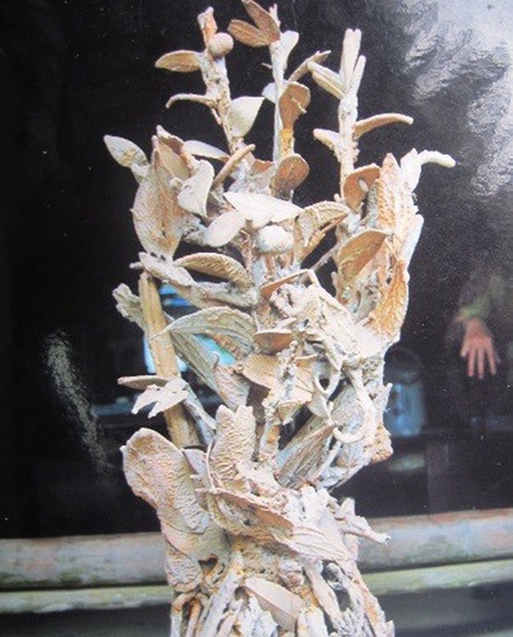 Explore one of Vietnam's most special waterfalls in Thanh Hoa - 2