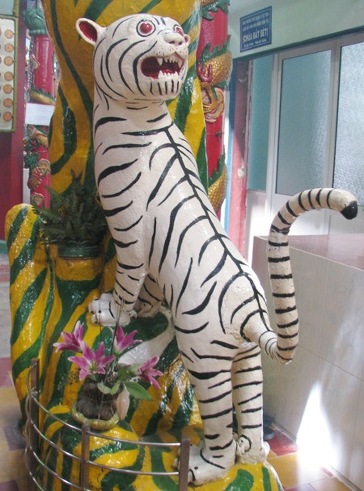 Buu Son Temple sets Vietnamese records - 7