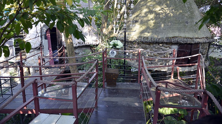 Amazing tree houses in Hanoi’s outskirts - 2