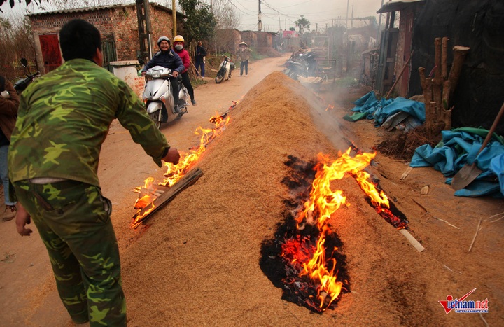 Peach flowers flood Hanoi's streets - 9 Peach flowers flood Hanoi's streets - 9