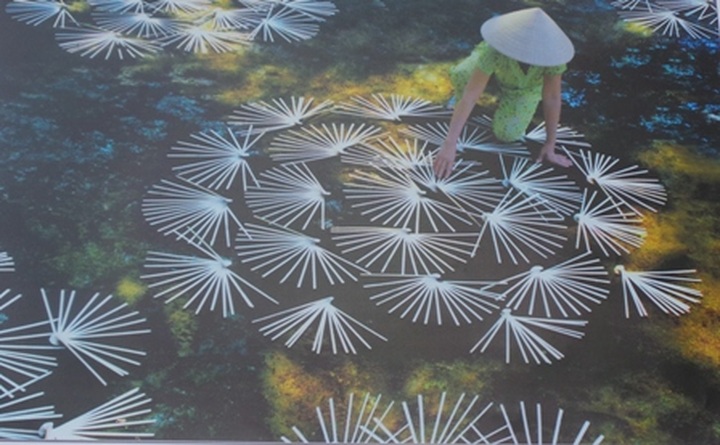 Photos featuring Vietnam’s heritage to be exhibited nationwide - 4