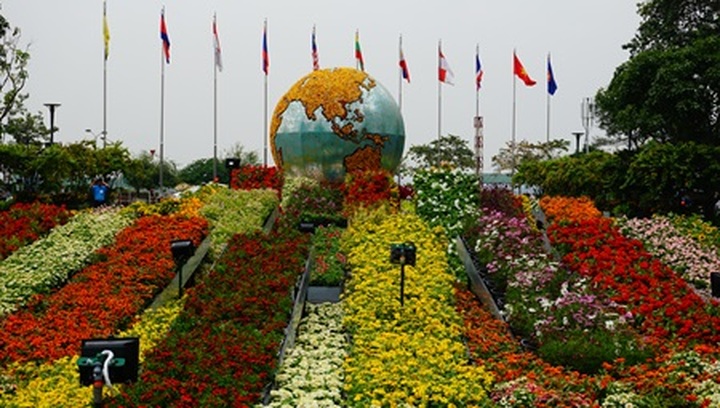 President opens HCM City's flower street - 2