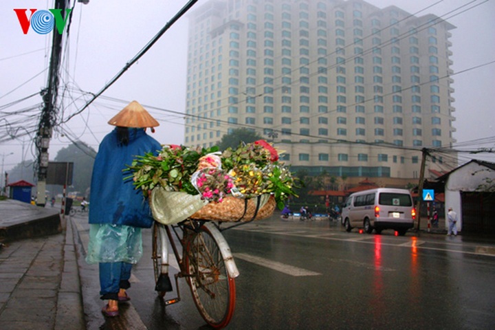 Quang An flower market at night - 4