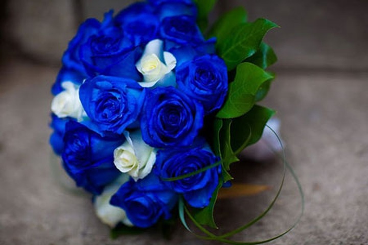 Fake blue roses bring real money for shops on Valentine's - 1