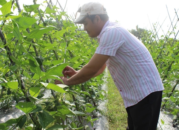 HCM City names most outstanding young citizens - 7 HCM City names most outstanding young citizens - 7
