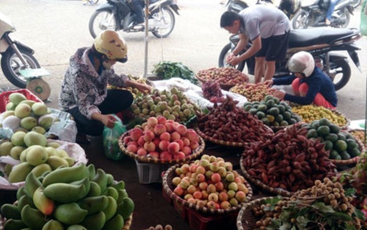 Hanoi to crackdown on fruit street vendors - 1