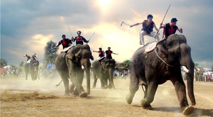 Elephant race marks National Tourism Year - 1 Elephant race marks National Tourism Year - 1