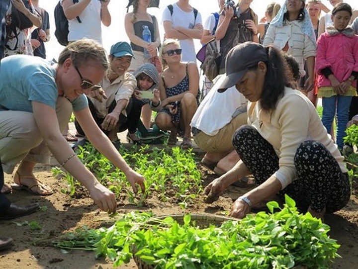 Homestay service in Hoi An attract visitors - 1