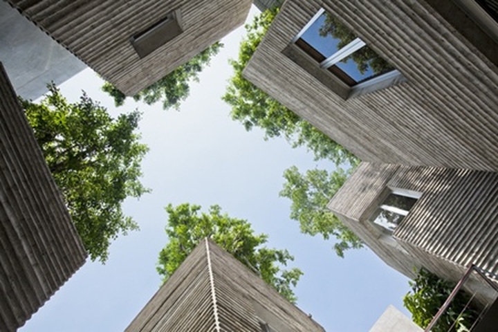 Vietnamese House for Trees wins best architectural work - 2