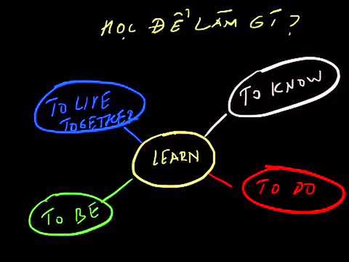 First model of online study launched in Vietnam - 1