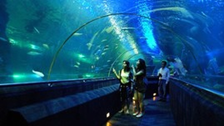 Hanoi inaugurates its largest entertainment complex - 1