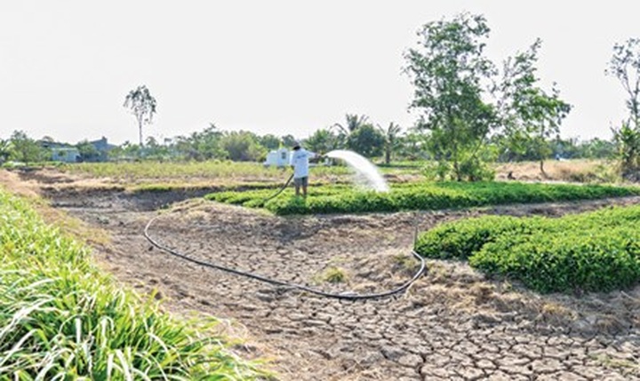 Mekong Delta sinks into the sea - 1