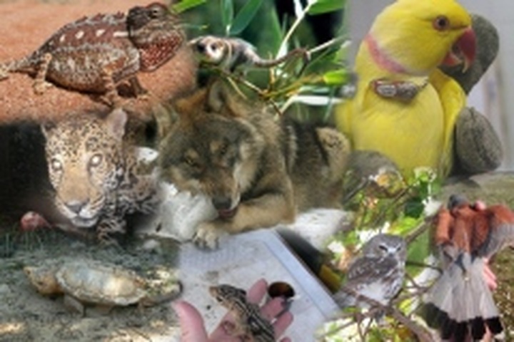 Wildlife classes to enlighten kids - 1 Wildlife classes to enlighten kids - 1