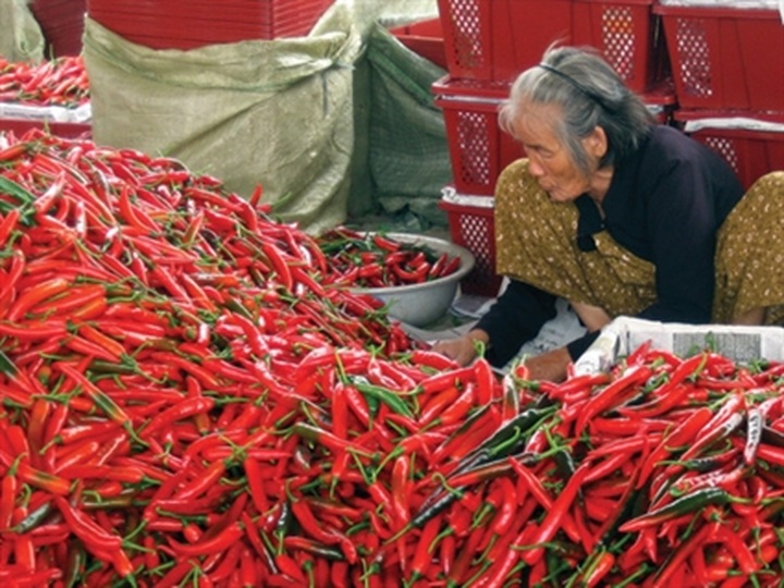 Illegal foreign trade causes headache for authorities - 1