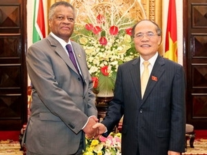 Vietnam, S Africa boost legislative cooperation - 1