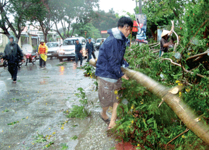 HCMC leaders survey storm damage in Can Gio District - 1
