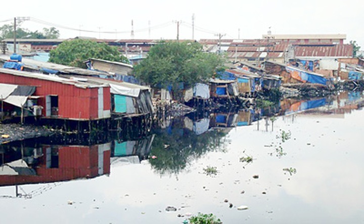 City’s environment programme ineffective - 1